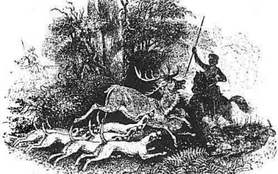 El Mabinogion: La Magnífica quita la red antes de subirse al trapecio.